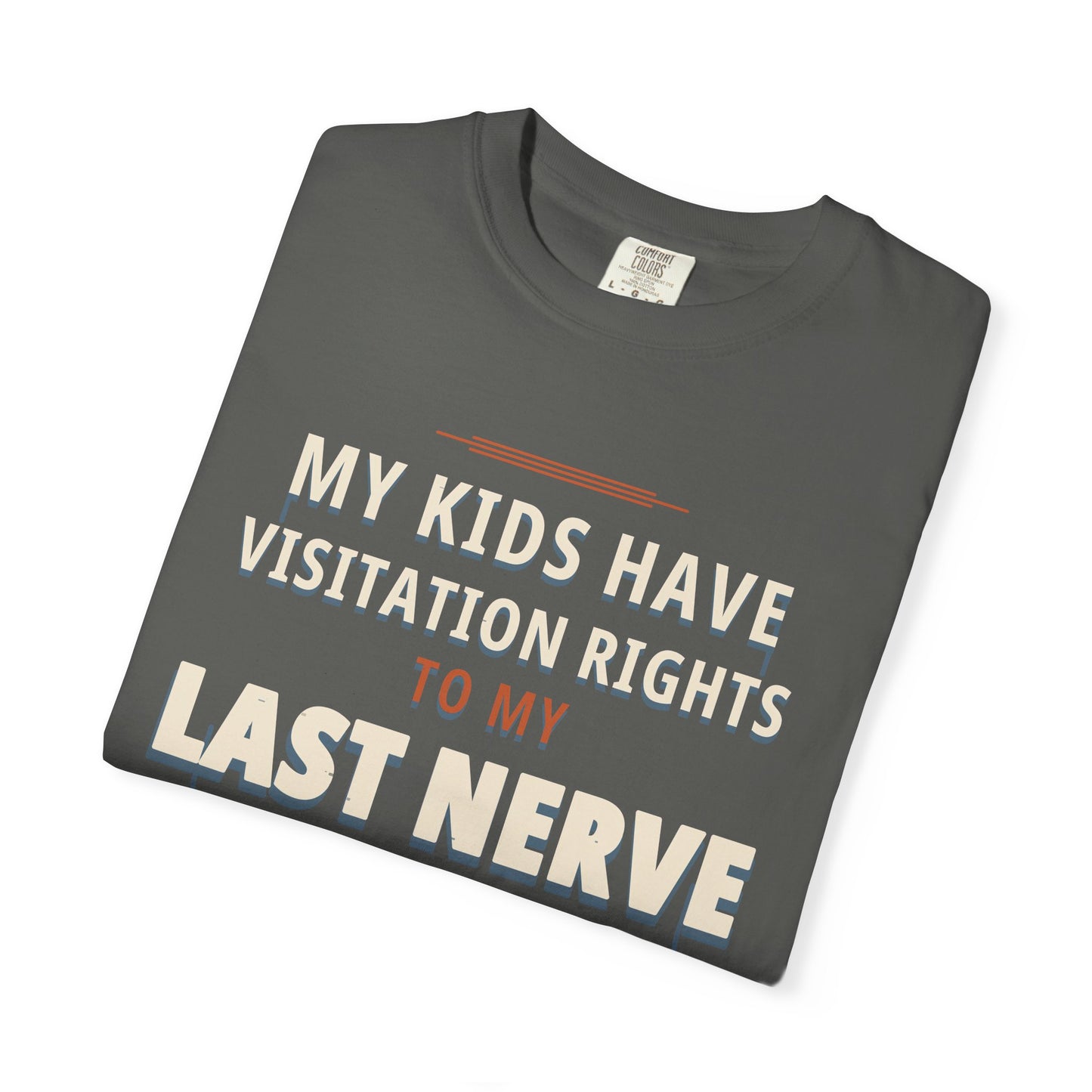 My Kids Have Visitation Rights to My Last Nerve Dad Tee